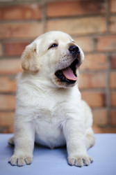 Similar image 22632351