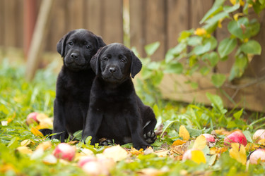 Similar image 22632355