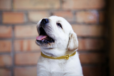 Similar image 22632356