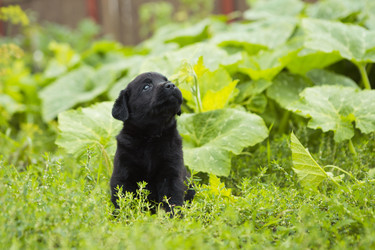 Similar image 22632357