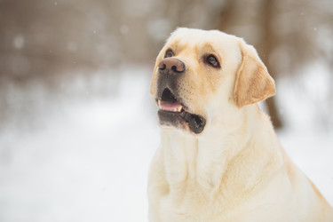 Similar image 22632359