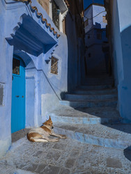 Similar image 22605651