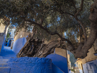 Similar image 22605652