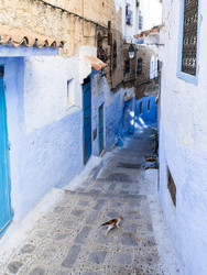 Similar image 22605655