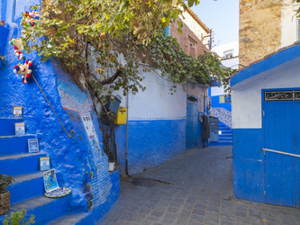 Similar image 22605576