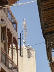 Similar image 22605598