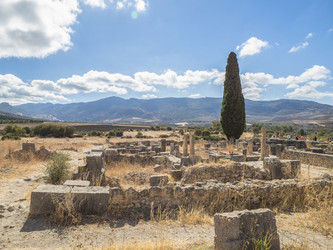 Similar image 22605601