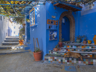 Similar image 22605620