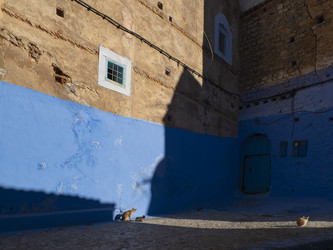 Similar image 22605666