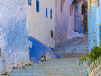 Similar image 22605583