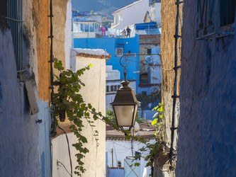 Similar image 22605606