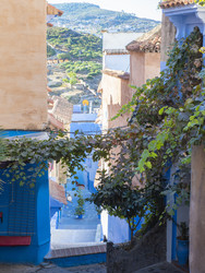 Similar image 22605611