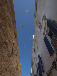 Similar image 22605630