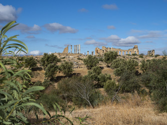 Similar image 22605634