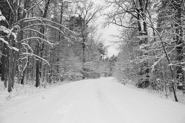 Similar image 22634262