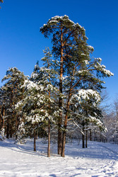 Similar image 22634263