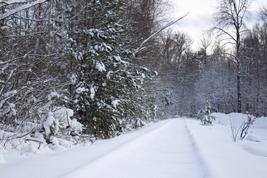 Similar image 22634265