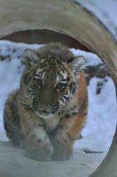 Similar image 22631433