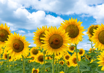 Similar image 22639223