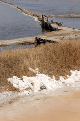 Similar image 22594917