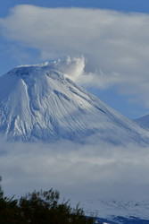 Similar image 22631418