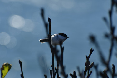 Similar image 22631435