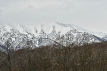 Similar image 22631436