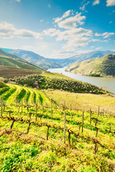 Similar image 22622810