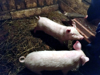 Similar image 22627862