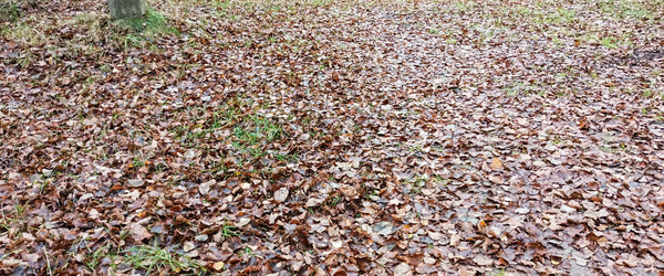 Similar image 22597310