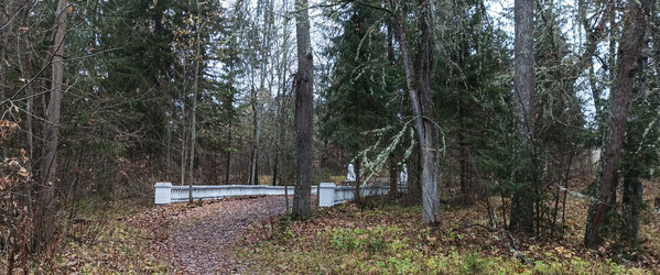 Similar image 22597311