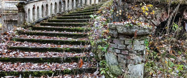 Similar image 22597325