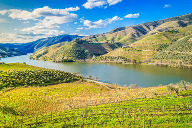 Similar image 22622705