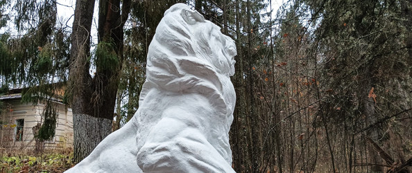 Similar image 22597353