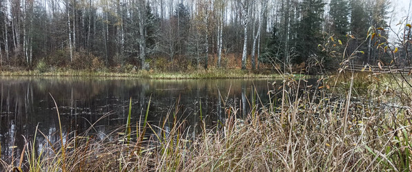 Similar image 22597293