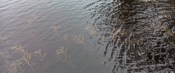 Similar image 22597296