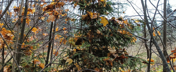 Similar image 22597339