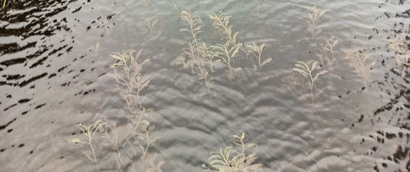 Similar image 22597299