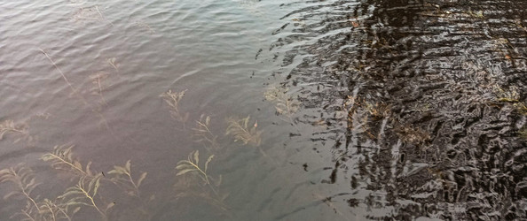 Similar image 22597300