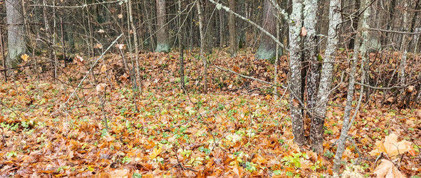 Similar image 22597317