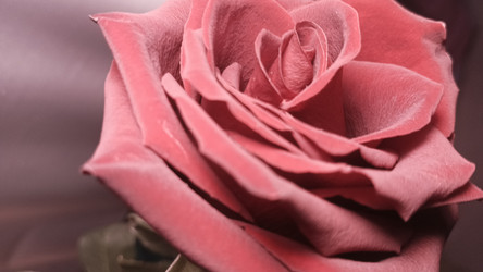 Similar image 22597329