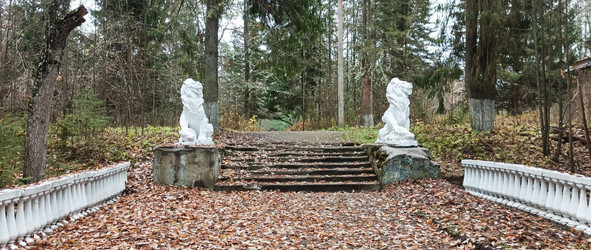 Similar image 22597330