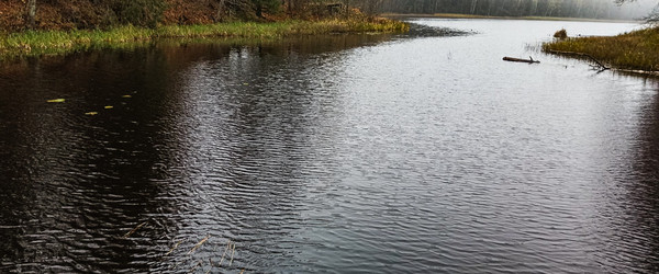 Similar image 22596996