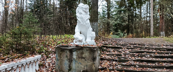 Similar image 22597009