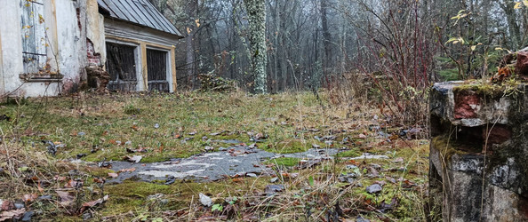 Similar image 22596979