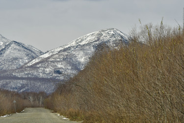 Similar image 22631419