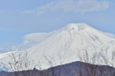 Similar image 22631420