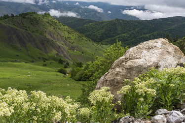Similar image 22621632