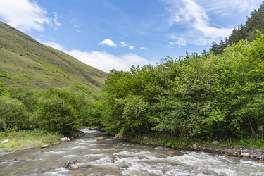 Similar image 22621644