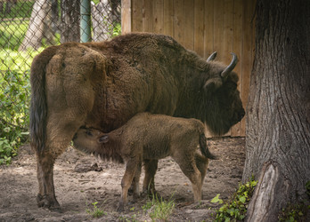 Similar image 22621673